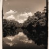 Reflection in Taylor Lake, Big Hammock